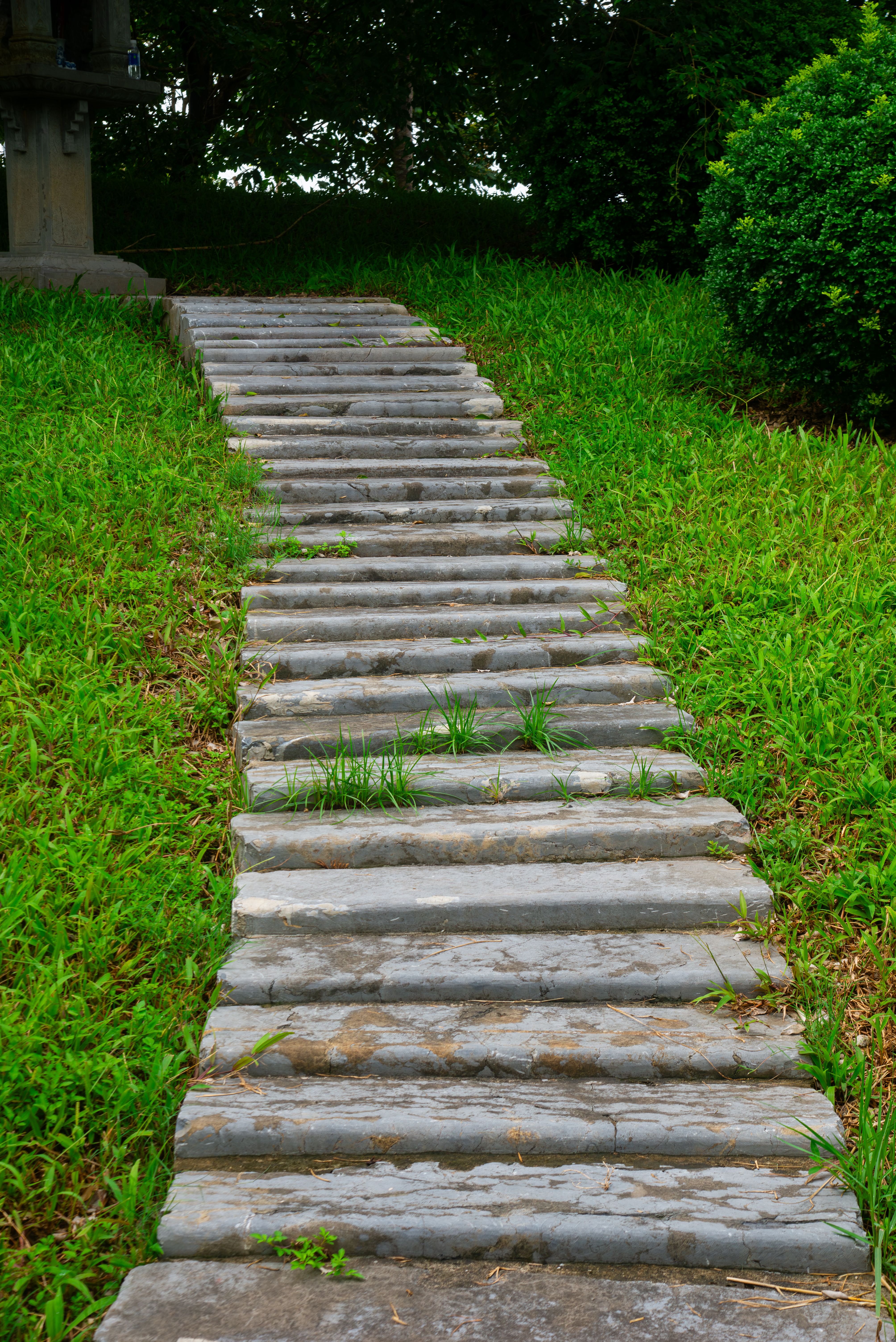 Caminho de pedras no jardim atravessando um jardim com vegetação exuberante