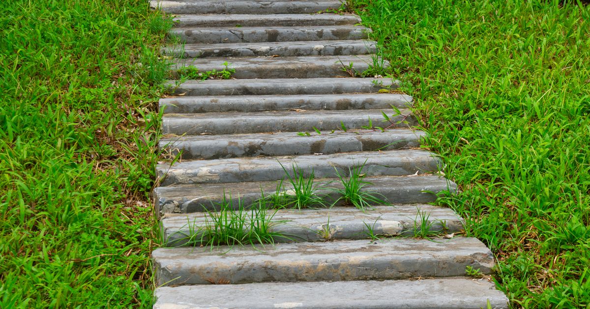 Caminho de Pedras no Jardim: Tipos, Ideias e Como Fazer Caminho de pedras no jardim atravessando um jardim com vegetação exuberante