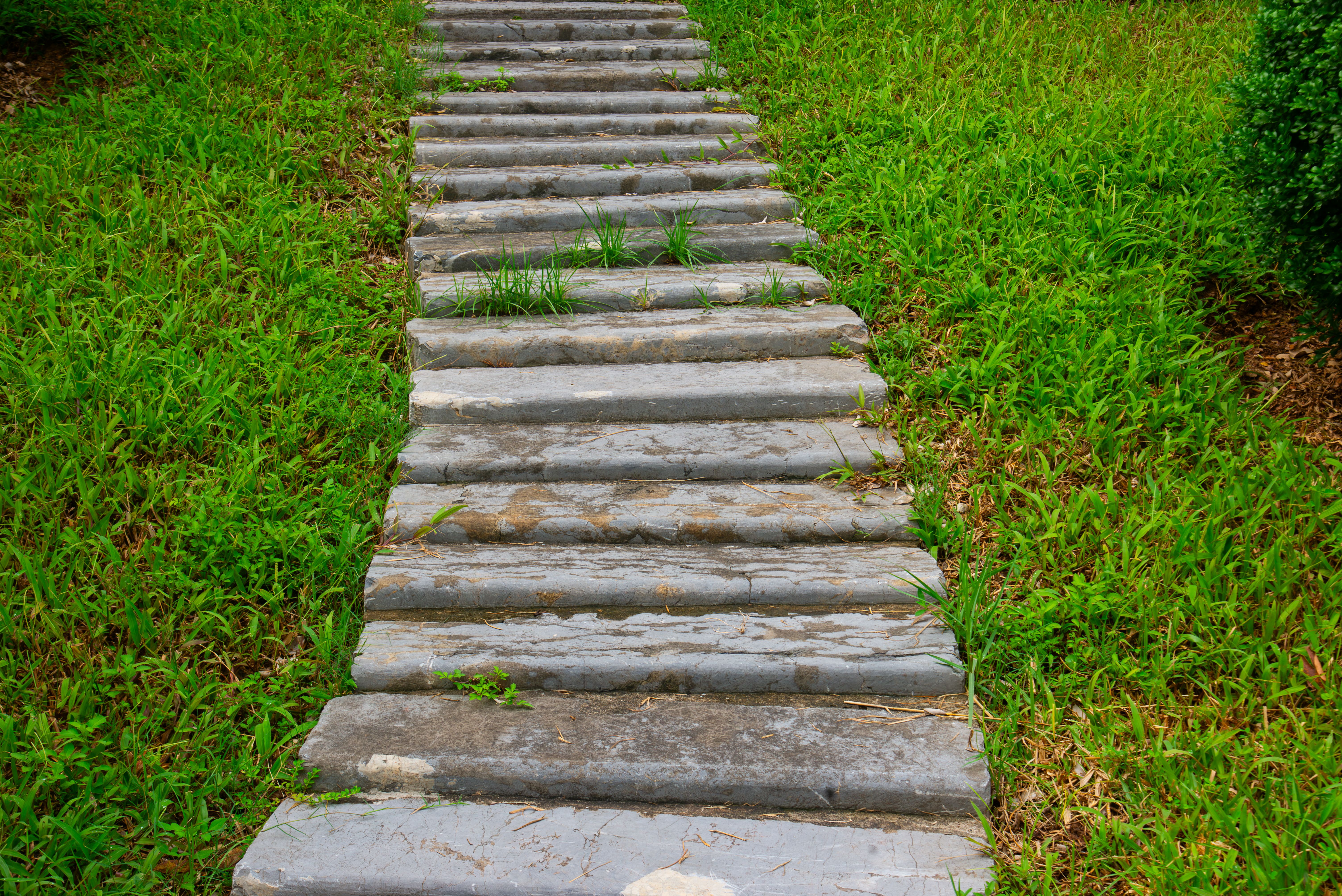 Caminho de pedras na grama verde de um jardim