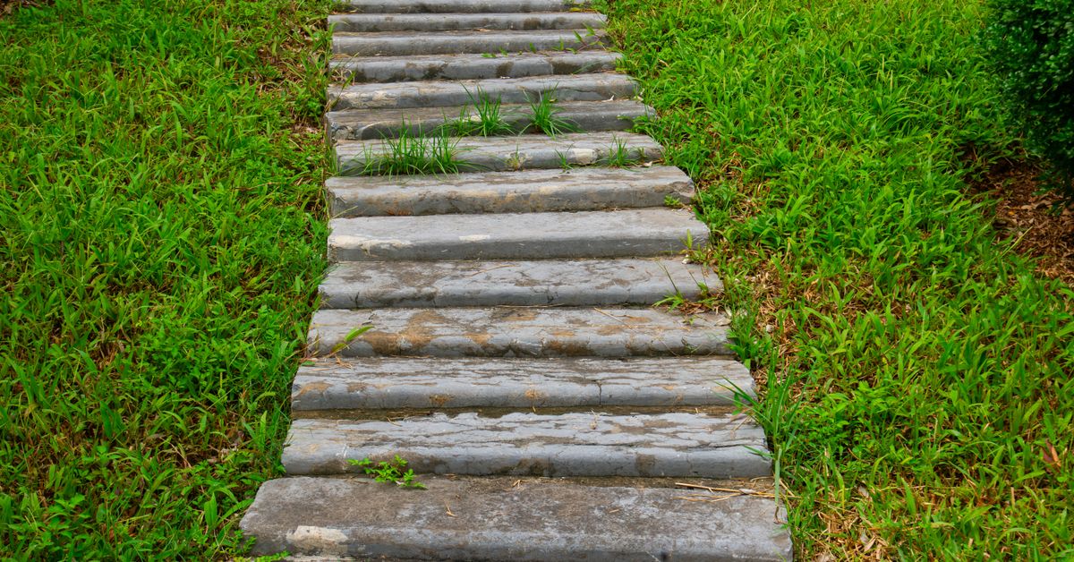 Pisantes na grama Caminho de pedras na grama verde de um jardim