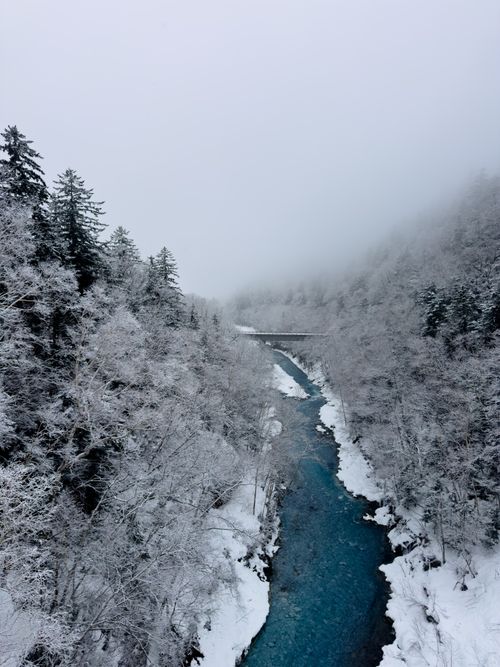 Free A breathtaking winter photograph of the blue Biei River flowing through a snowy landscape in Hokkaido, Japan. Stock Photo