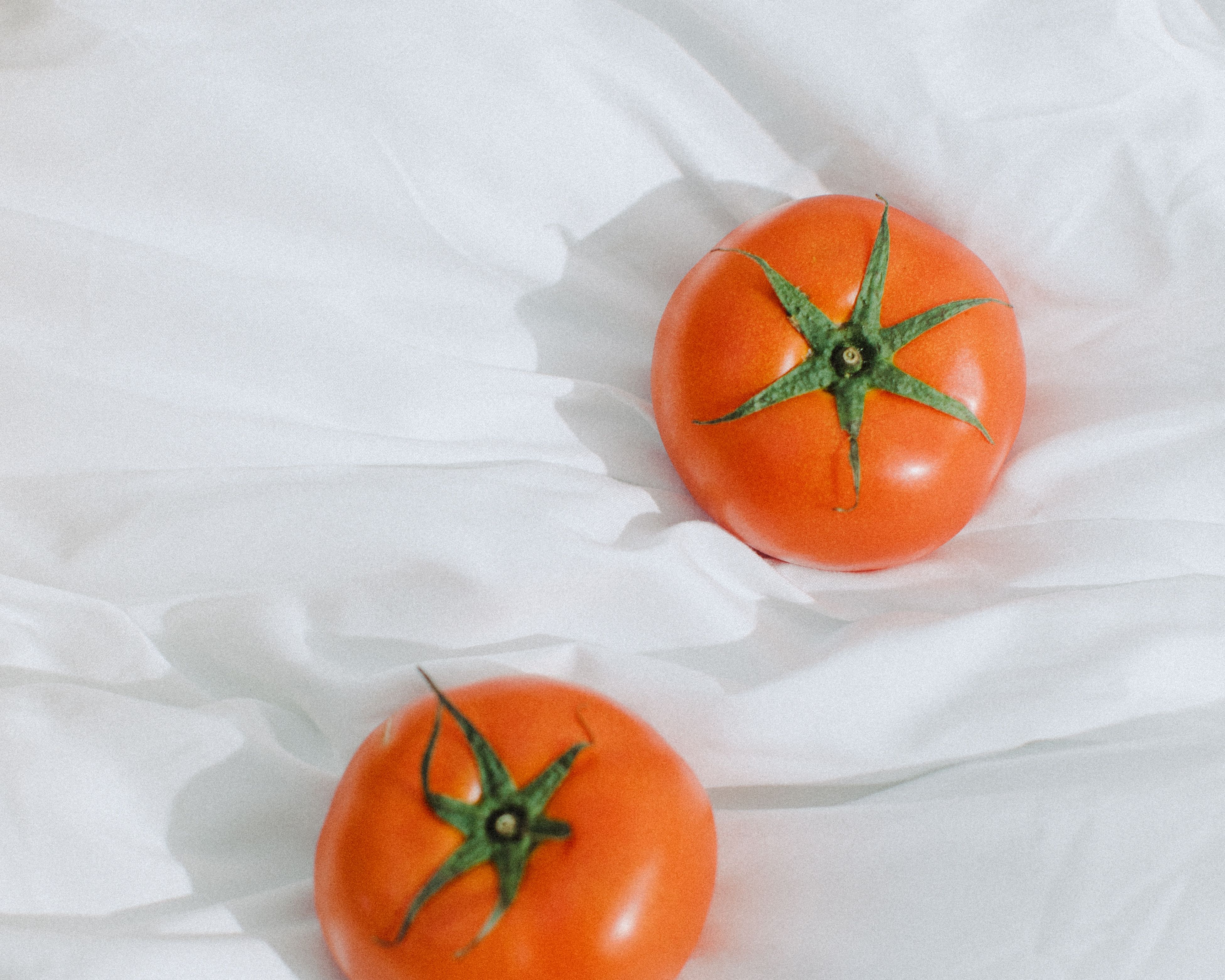Hortifruti