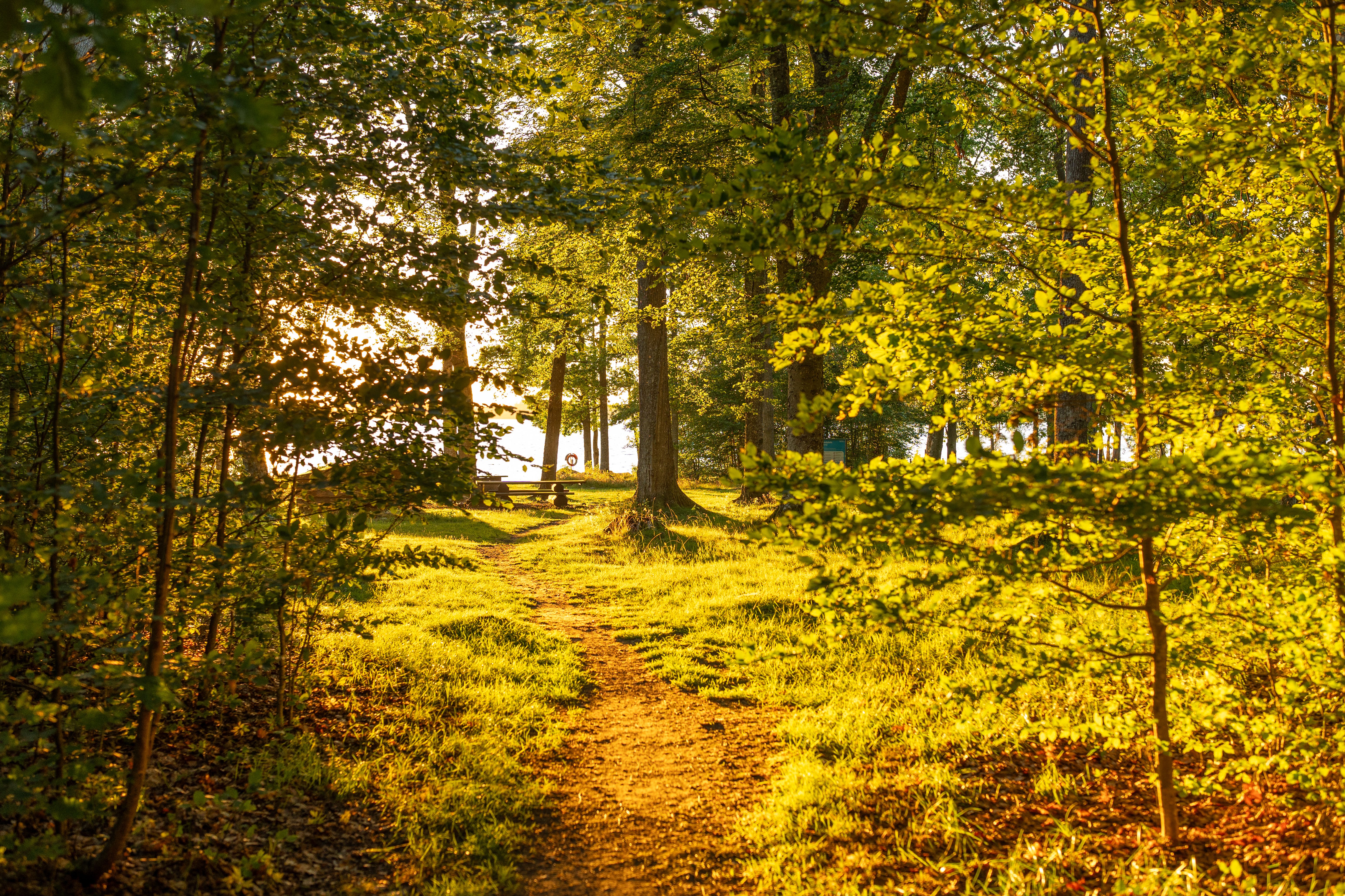 Healthspan White Paper: The Data-Driven Path to Longevity — Photo by Lorenzo Manera on Pexels
