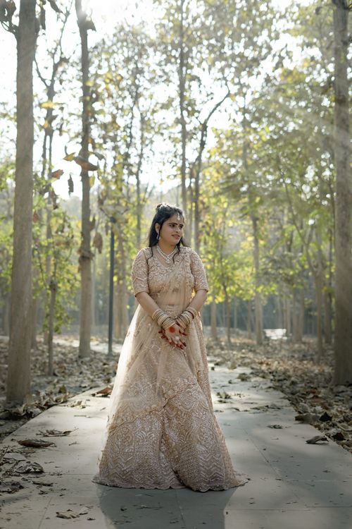 Free Indian bride posing in a beautiful woodland, capturing the serene ambiance of Lucknow. Stock Photo