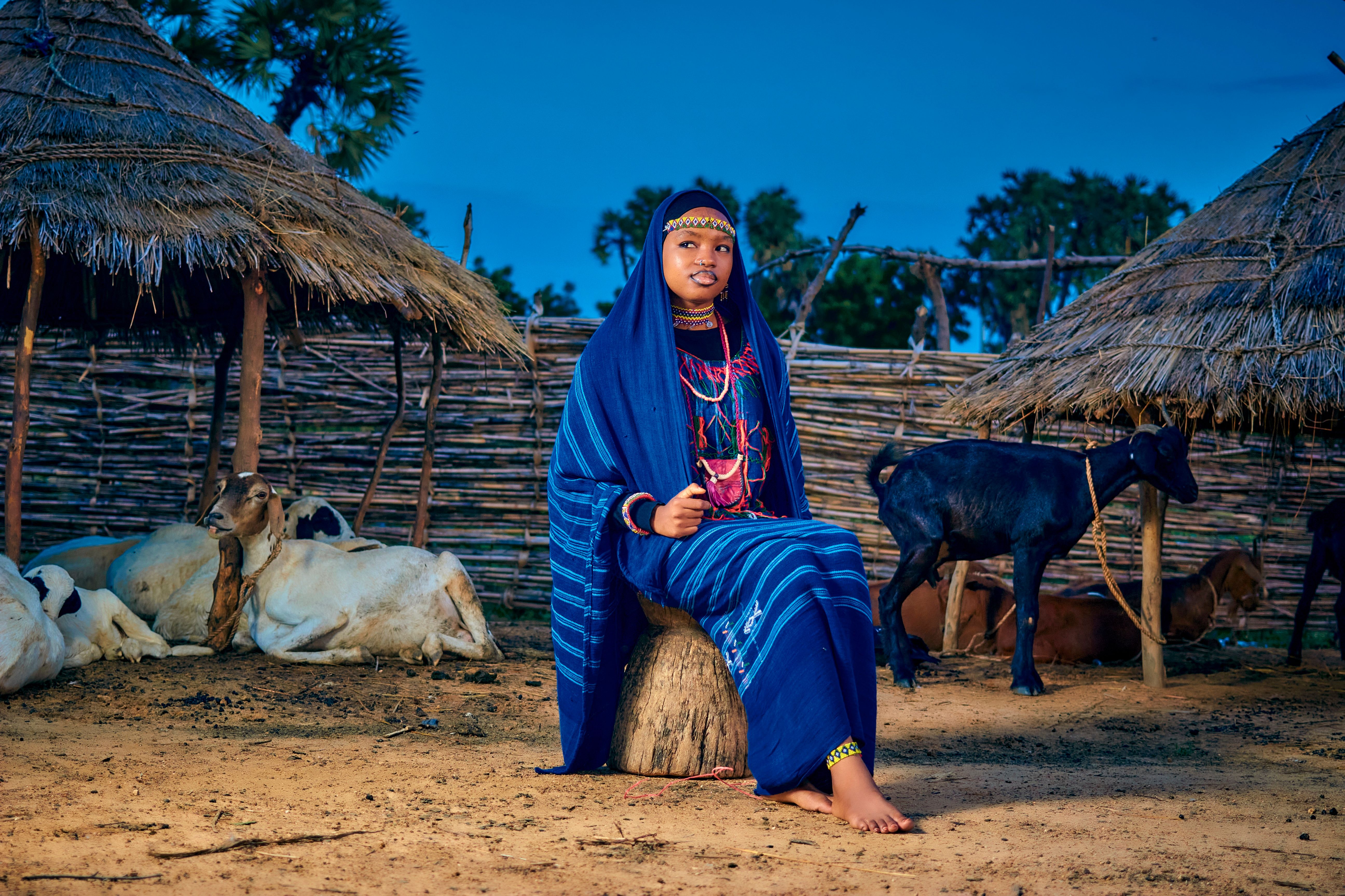 A woman in traditional clothing sits among livestock in a rural setting at dusk.