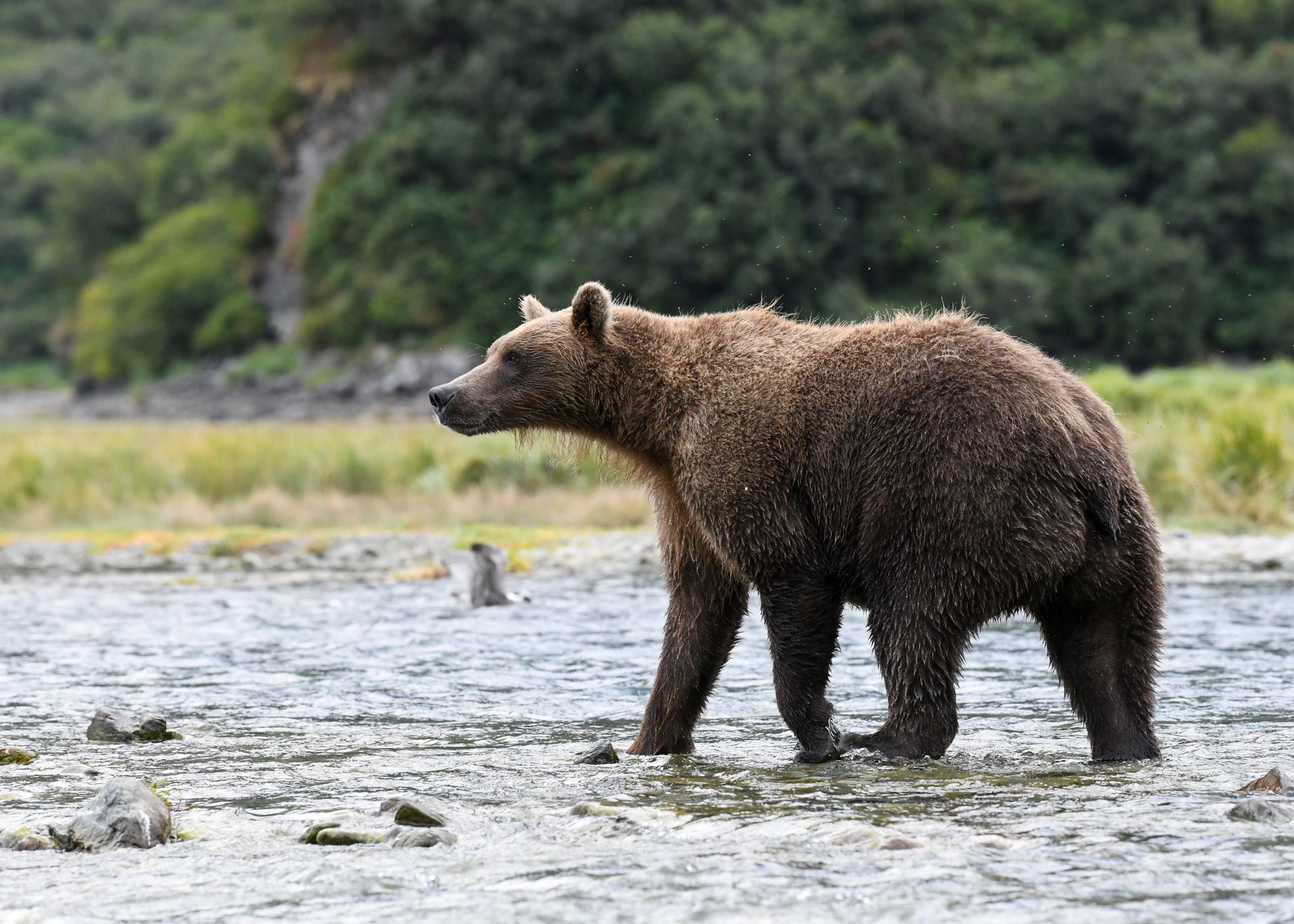 Master the pristine waters of the North with a private guide