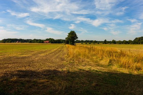 Free Expansive fields under a bright blue sky in Coesfeld, Germany, showcasing rural tranquility. Stock Photo
