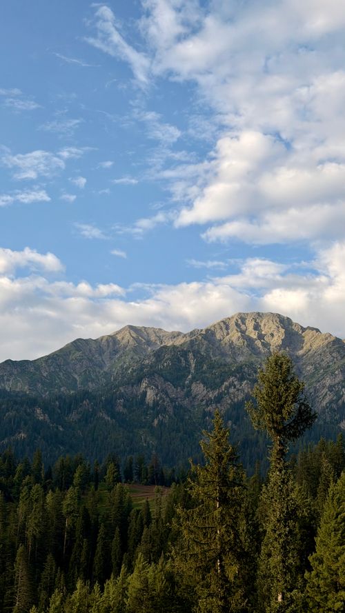 Free Scenic view of a mountain range with lush forest under a clear blue sky, perfect for nature enthusiasts. Stock Photo