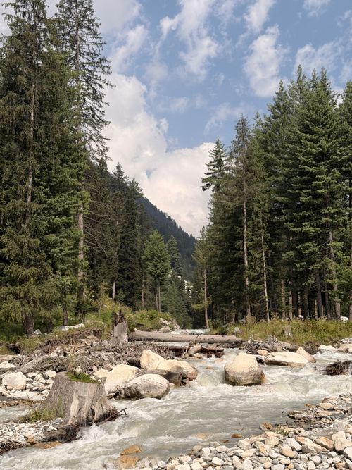 Free Serene landscape of Kumrat Valley featuring a flowing river surrounded by lush pine forests. Stock Photo