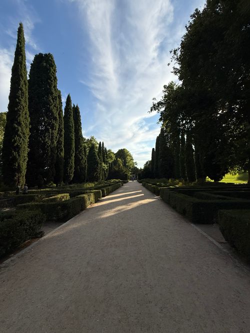 Free Beautiful tree-lined pathway in Retiro Park, Madrid basking in daylight. Stock Photo