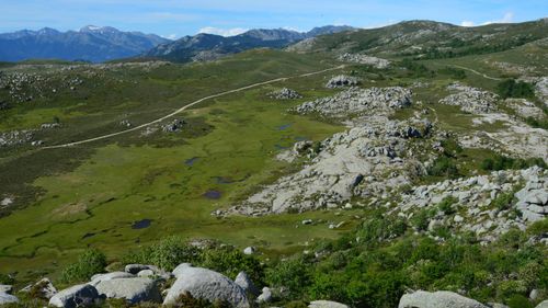 Free Explore the serene landscapes of Aullène in Corsica with its rugged terrain and vibrant greenery. Stock Photo