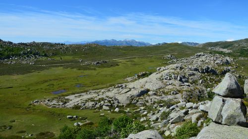 Free Explore the rugged beauty of Aullène, Corse, France with greenery and rocky terrains under a clear blue sky. Stock Photo