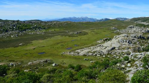 Free Capture of vibrant green valleys and rocky terrain in Aullène, Corsica with distant mountains. Stock Photo