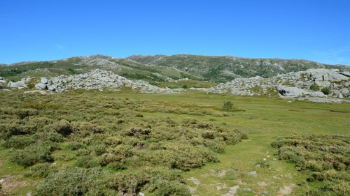 Free Beautiful green and rocky landscape under a clear blue sky in Aullène, Corse, France. Stock Photo