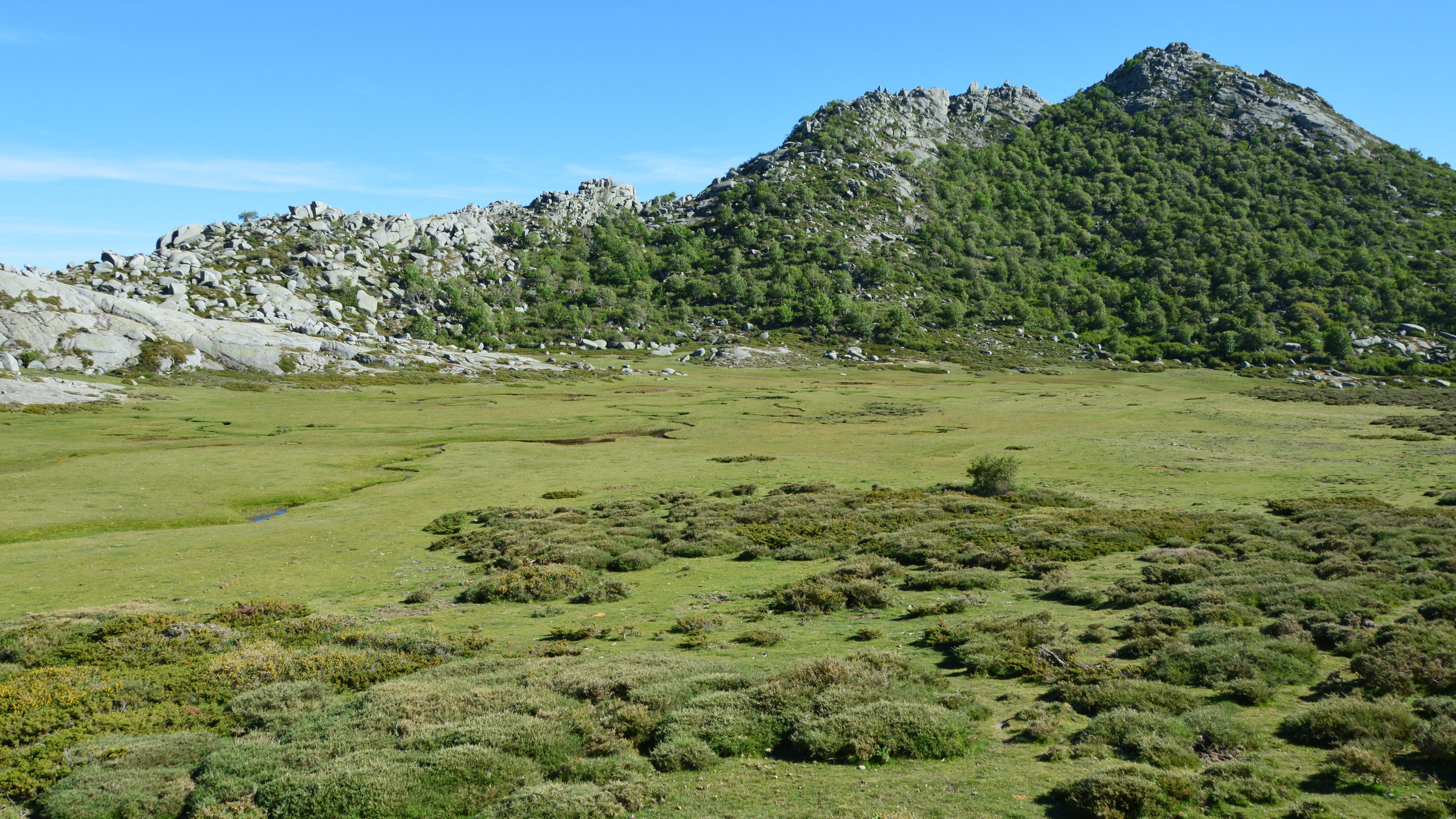 Explore the serene mountain meadow and rocky terrain of Aullène, Corsica, on a clear summer day.
