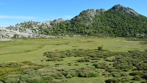 Free Explore the serene mountain meadow and rocky terrain of Aullène, Corsica, on a clear summer day. Stock Photo