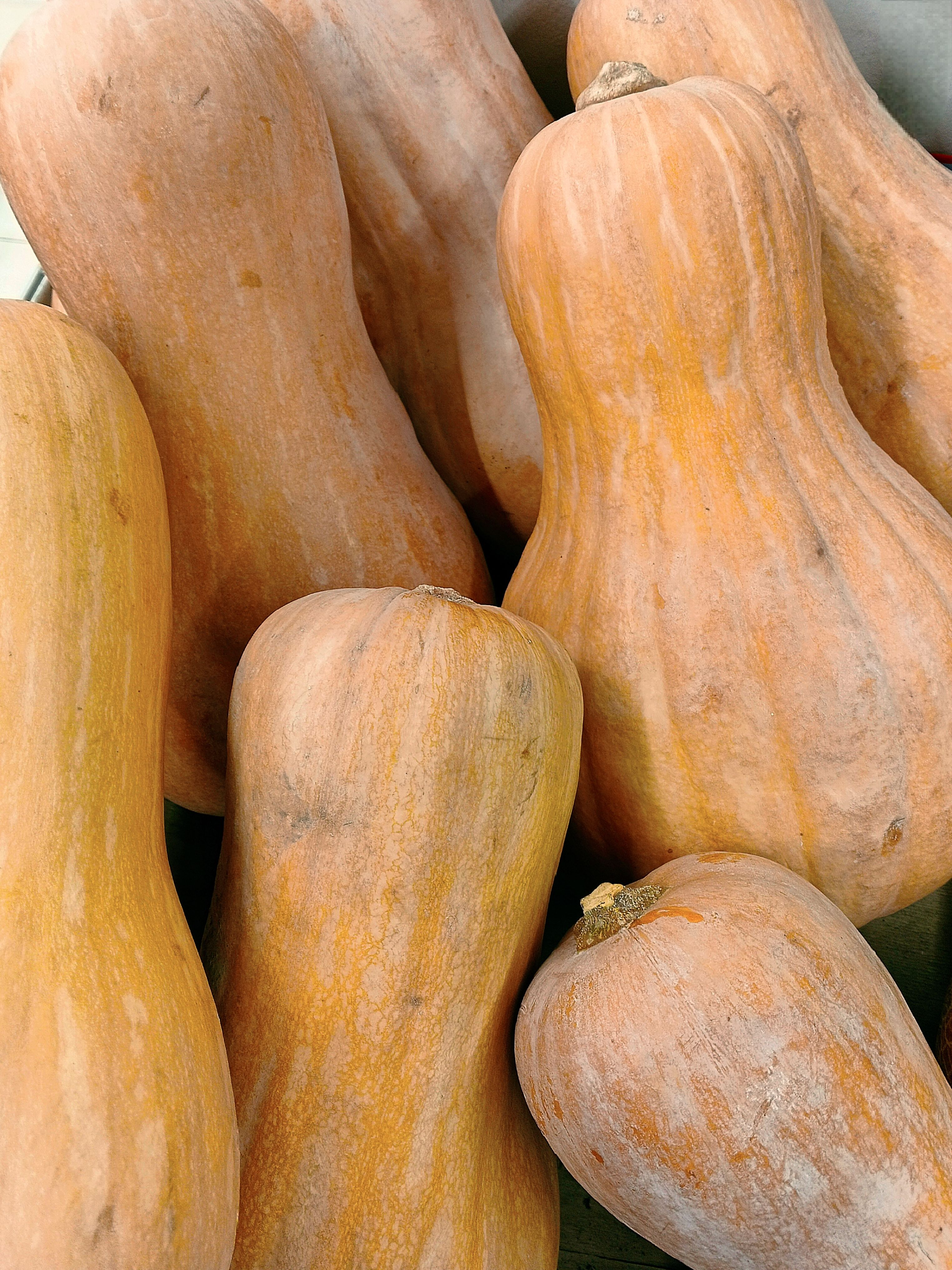 Recettes de plats réconfortants à base de courges pour lautomne 2026 - illustration