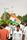 independence day india