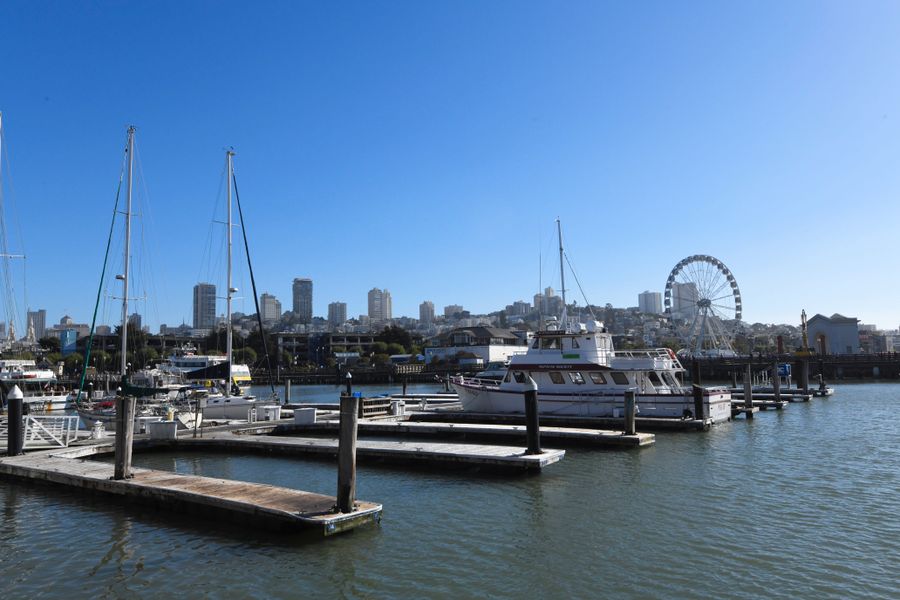 Marina with sailboats and Ferris wheel along the San Francisco waterfront, with the city skyline in the background under clear blue sky