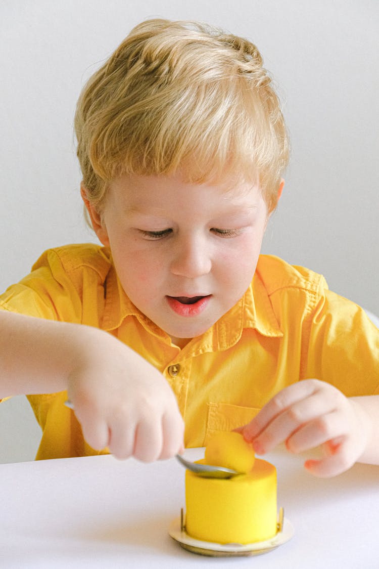 Boy In Yellow Polo Shirt About To Eat Cake