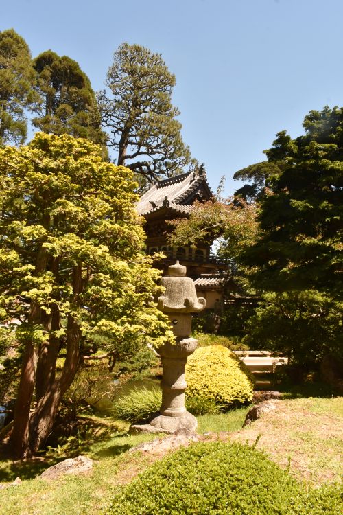 Free Serene Japanese garden featuring a traditional stone lantern and lush greenery. Stock Photo