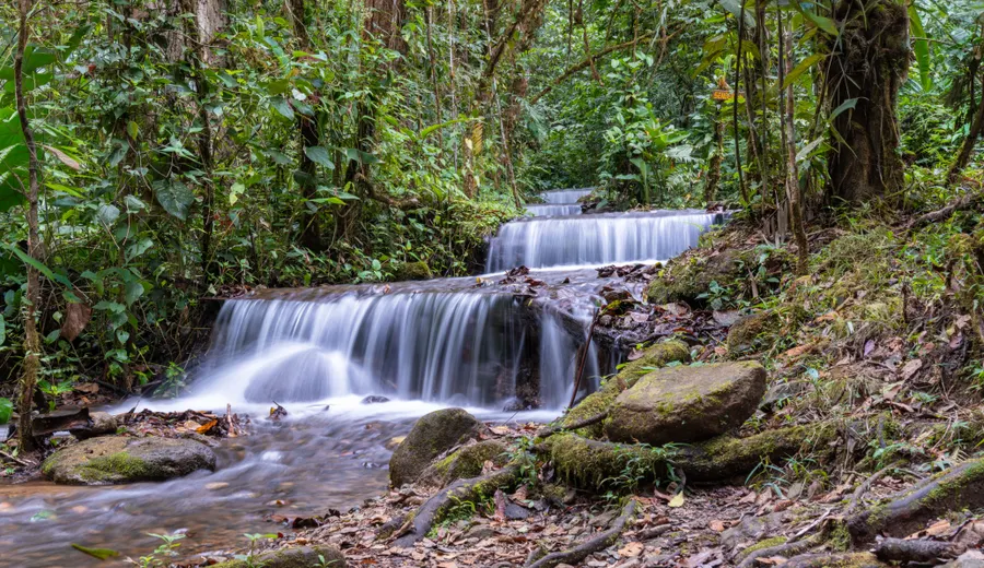 Jour 3 à Monteverde