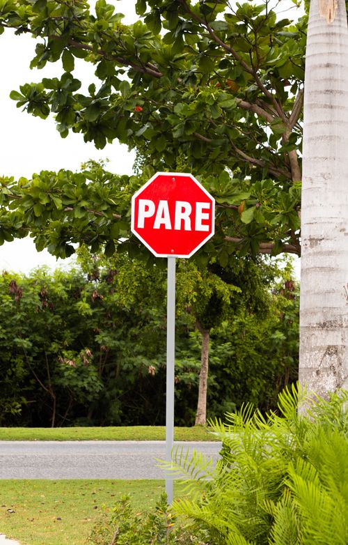 Free Red 'Pare' stop sign against lush green foliage provides a vibrant contrast. Stock Photo