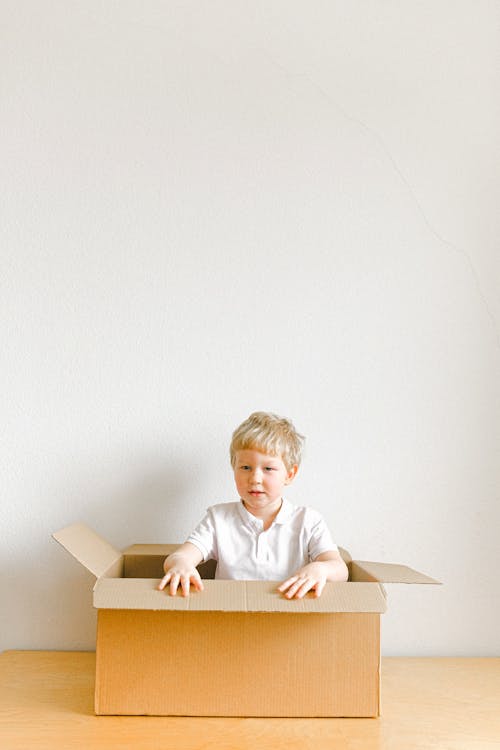 Boy In White Dress Shirt Sitting In Brown Cardboard Box