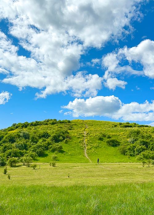 Free A serene hill with lush greenery under a vibrant blue sky with fluffy clouds. Stock Photo
