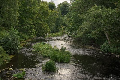 Free A tranquil river flows through dense green forest, creating a peaceful nature scene. Stock Photo