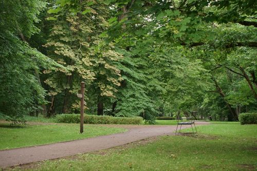 Free A serene park scene featuring a winding path and lush green trees during a summer day. Stock Photo