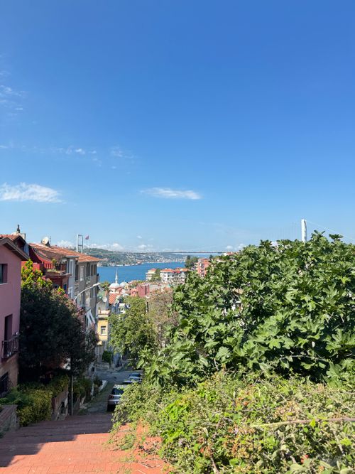 Free Captivating vista of the Bosphorus Strait from a vibrant Istanbul street, surrounded by lush greenery. Stock Photo