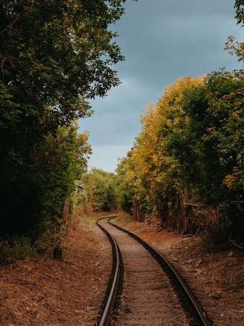 Free Railroad tracks meander through lush autumn foliage, evoking travel and tranquility. Stock Photo