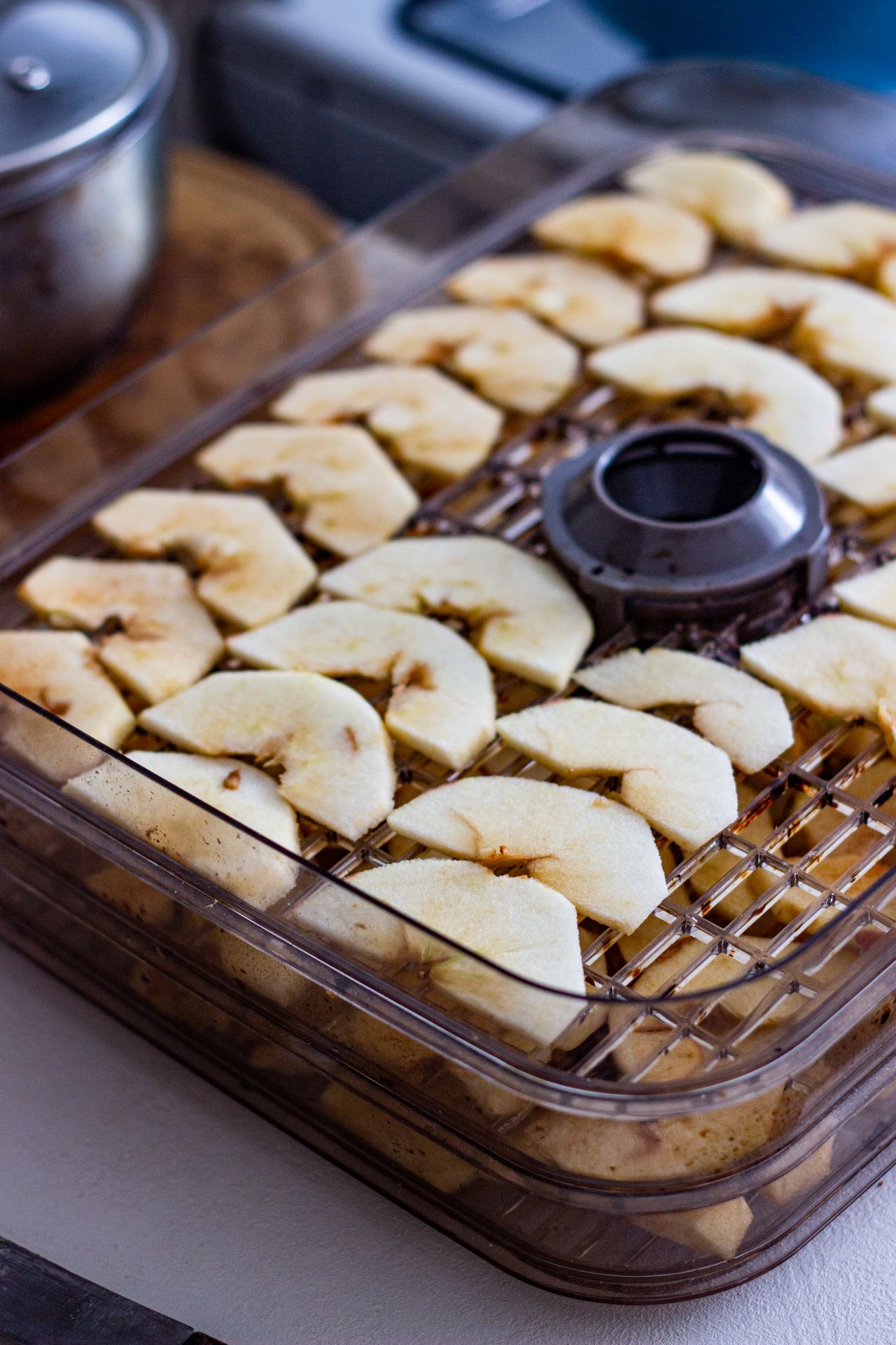 Food spread in a single layer on a dehydrator tray, the same layout that works for herbs