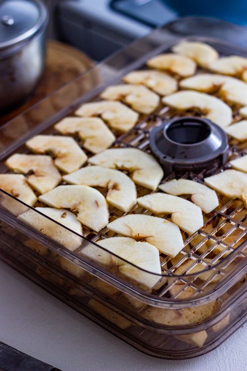 Free Close-up of apple slices being dehydrated in a home kitchen using a clear food dehydrator. Stock Photo