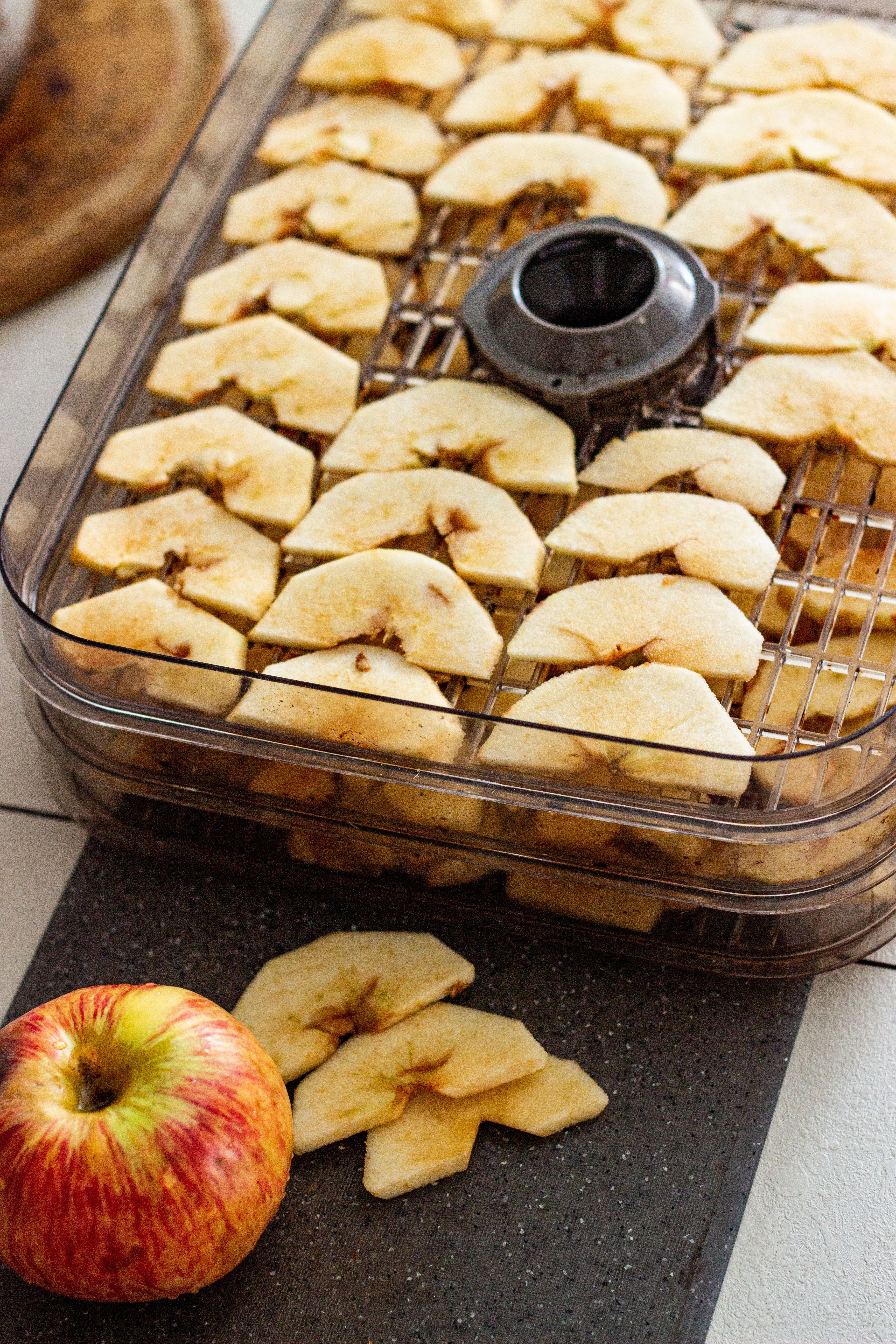 Dried apple slices prepared in a food dehydrator, alongside a fresh apple.