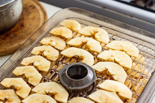 Sliced apples arranged on a tray in a dehydrator for homemade fruit snacks.