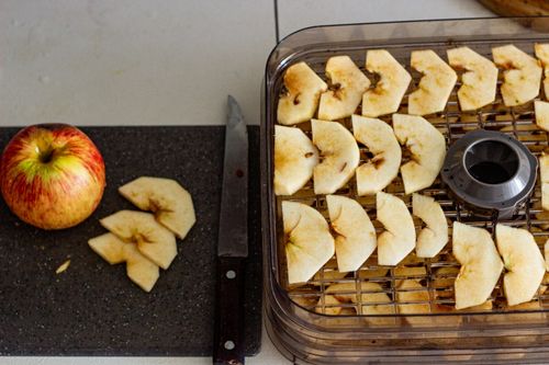 Free Fresh apple slices arranged for dehydration, showcasing a healthy snack preparation. Stock Photo