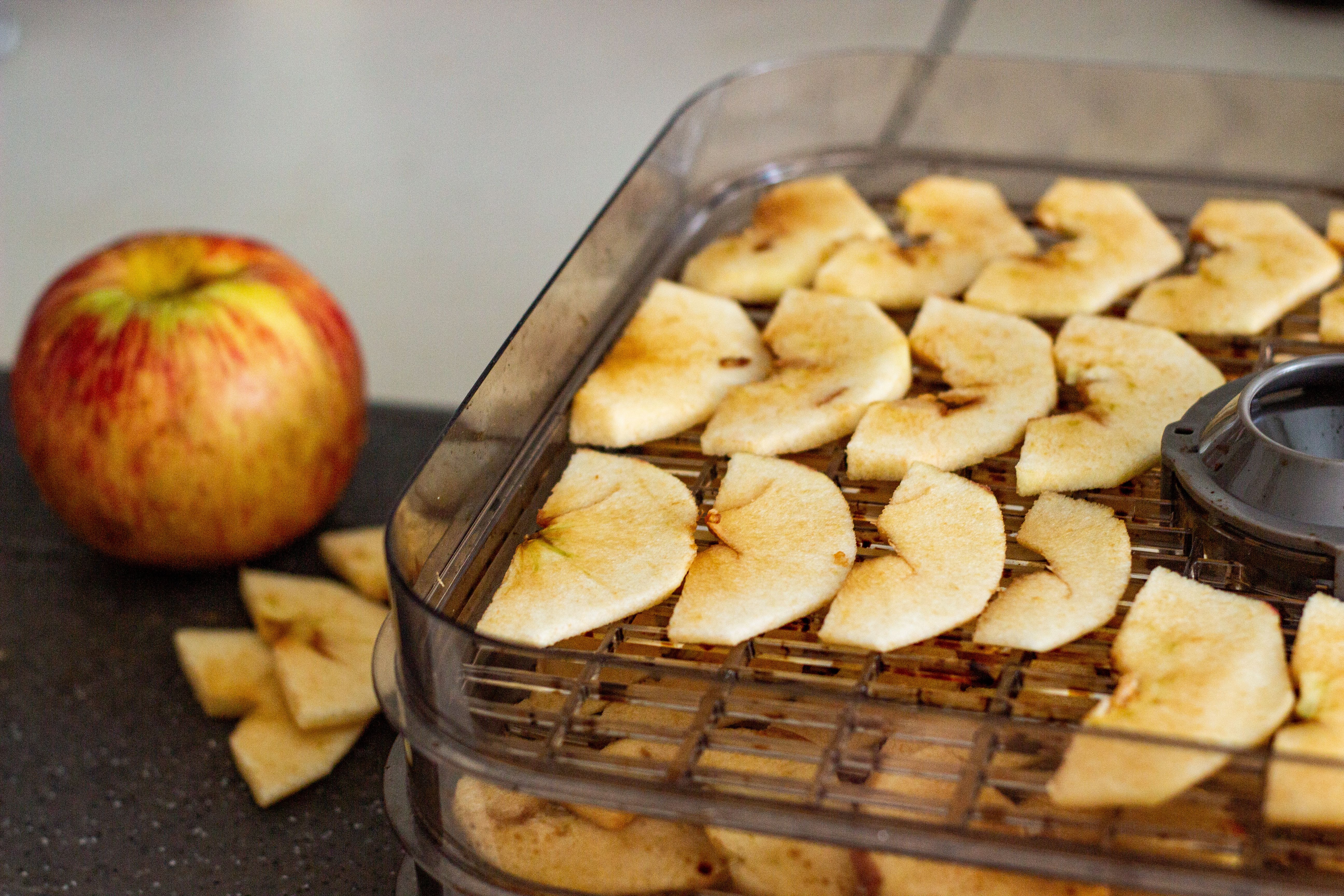 Thin apple slices arranged in rows inside a food dehydrator