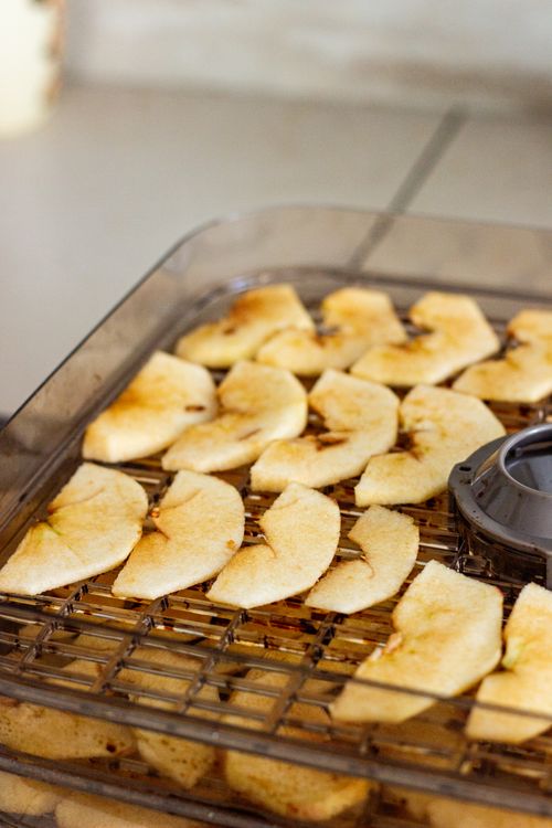 Free Close-up of apple slices drying on a dehydrator tray, ideal for healthy snack visuals. Stock Photo