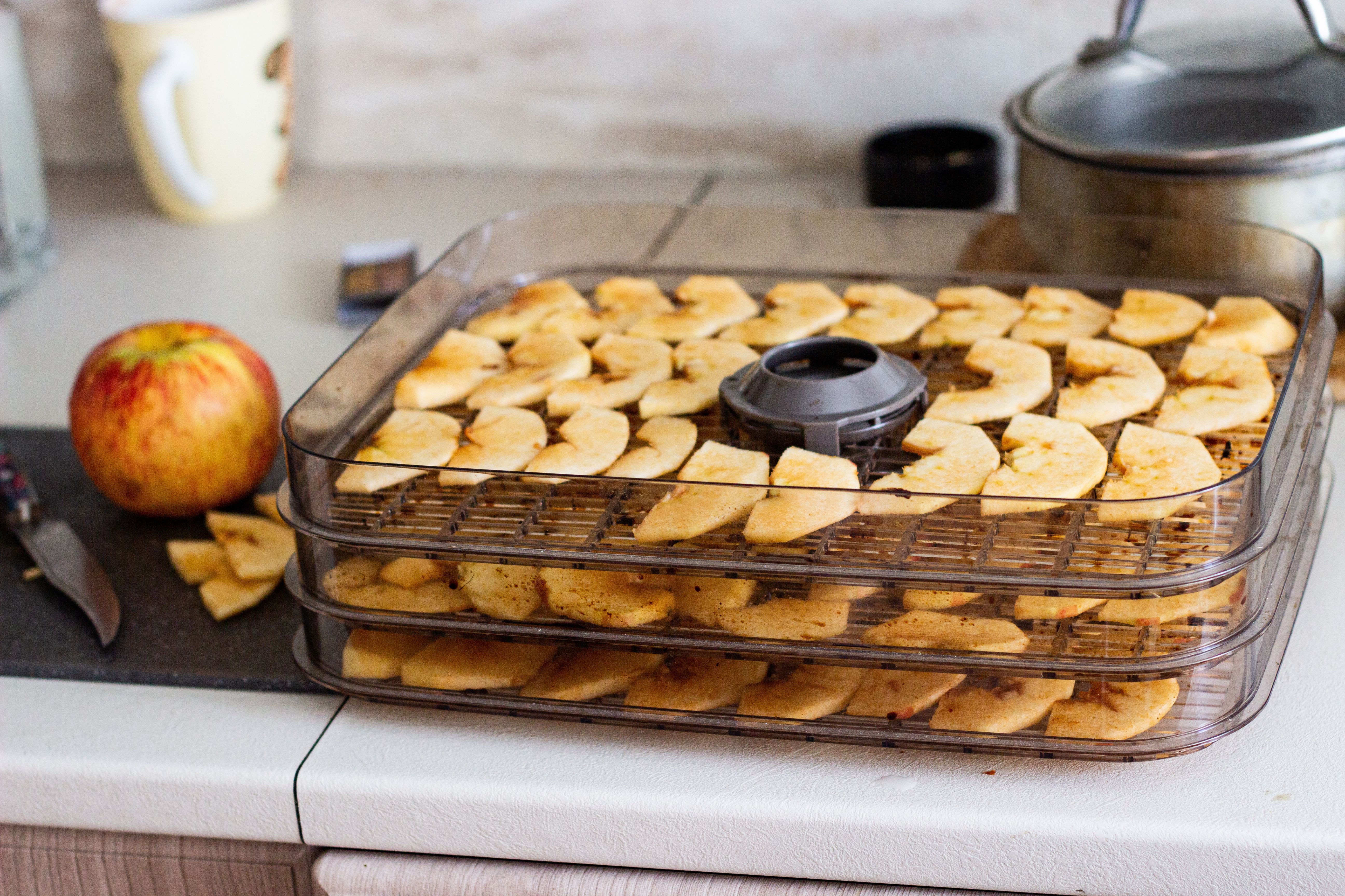 A food dehydrator with three clear stacked trays of apple rings drying on a bright kitchen countertop, a whole apple and a knife beside it
