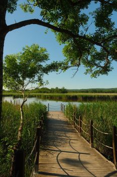 Scenic view of a wooden boardwalk surrounded by lush greenery by a serene lake under a clear blue sky.