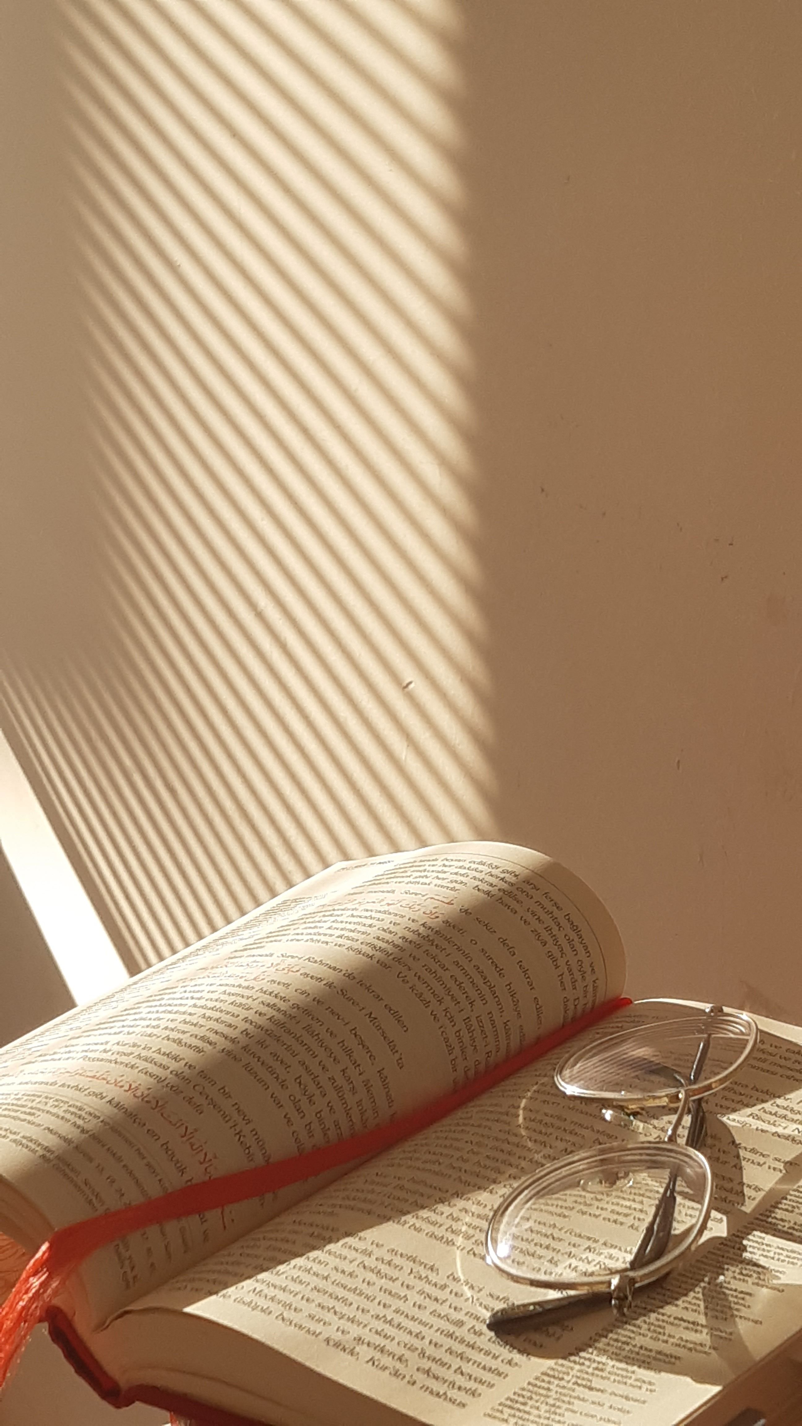 Open book and eyeglasses in soft sunlight creating a calming reading ambiance.