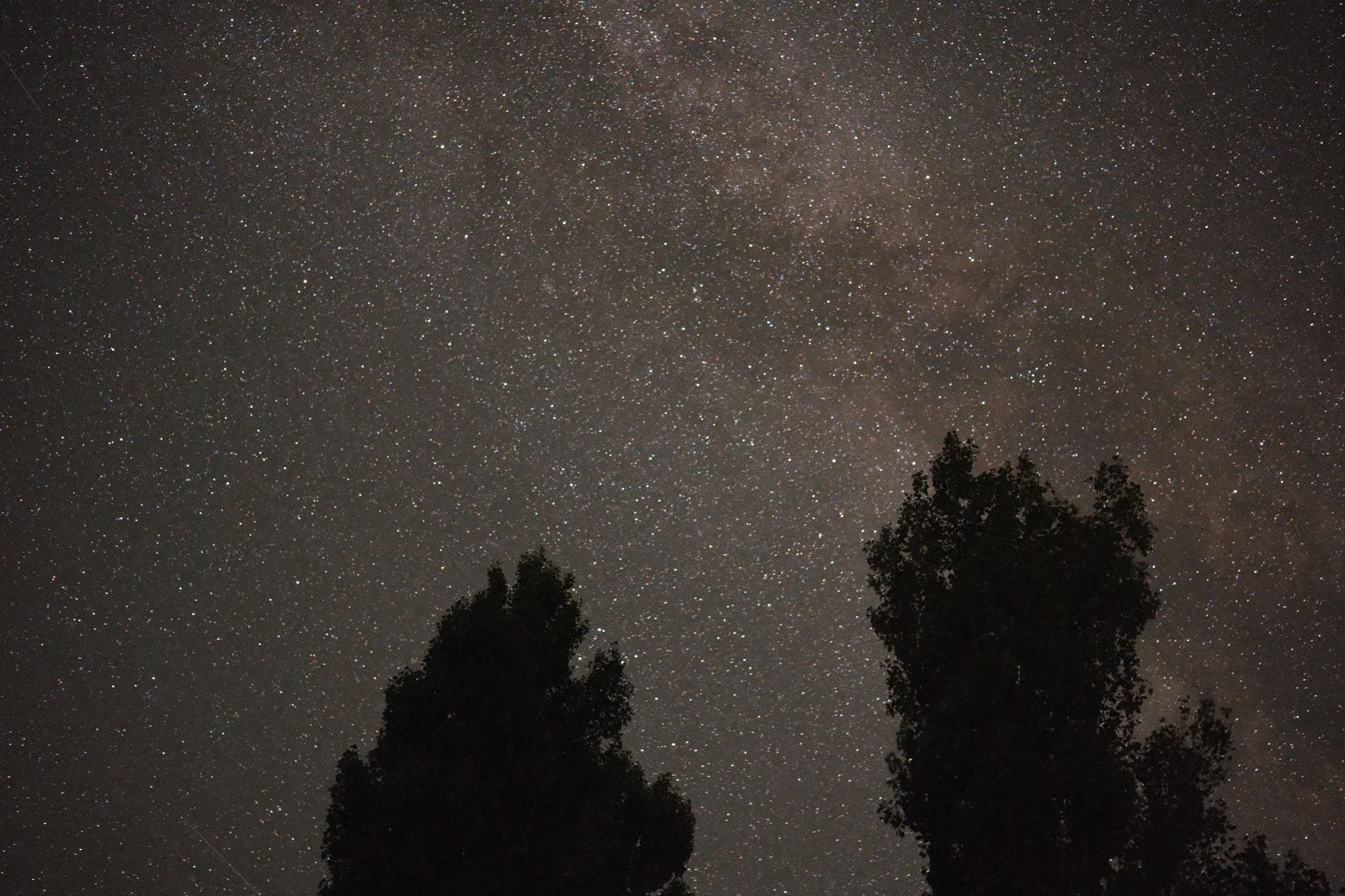 Bäume & Himmel im Universum – Malerische Kosmos-Aufnahme