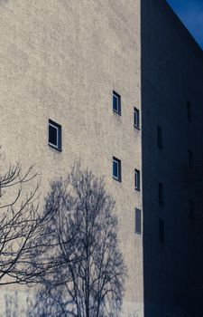 A city building's facade with a tree shadow at sunset creates a dramatic scene.
