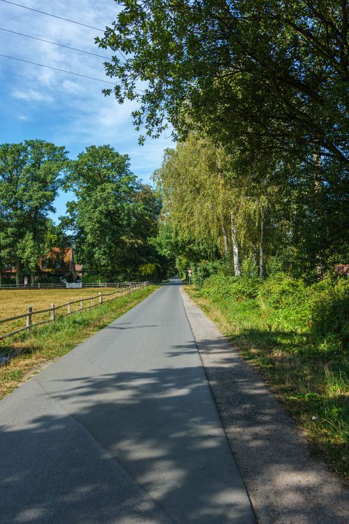 Free Peaceful country road surrounded by lush greenery in Coesfeld, Germany, under a bright blue sky. Stock Photo