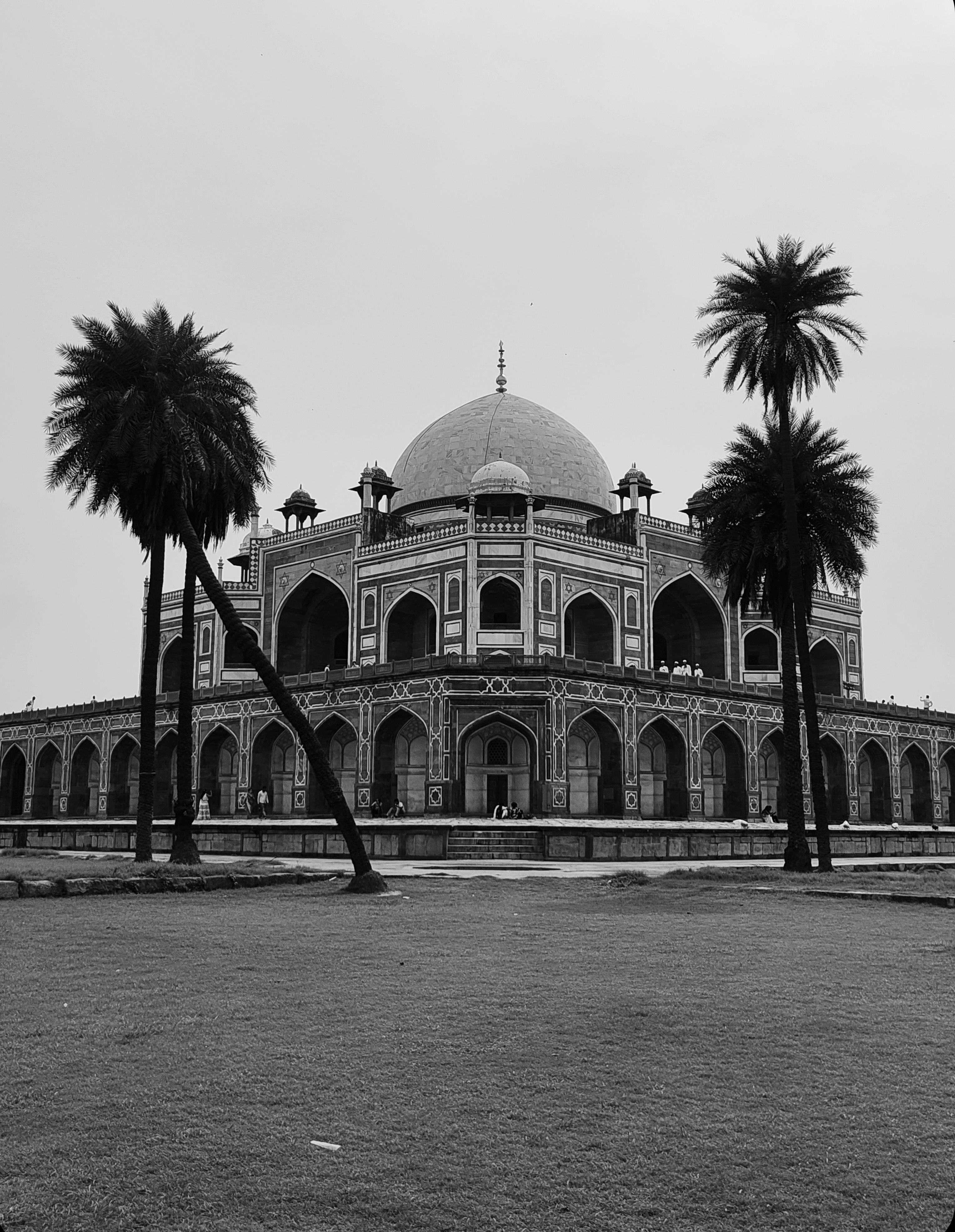 Dramatic black and white capture of Humayun's Tomb with palm trees in New Delhi, India.
