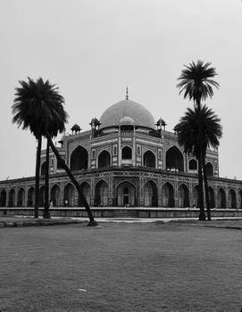 Dramatic black and white capture of Humayun's Tomb with palm trees in New Delhi, India.