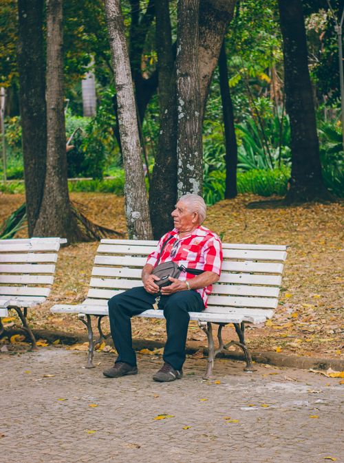 Free Senior man in red checkered shirt sits peacefully on a park bench surrounded by trees and fallen leaves. Stock Photo