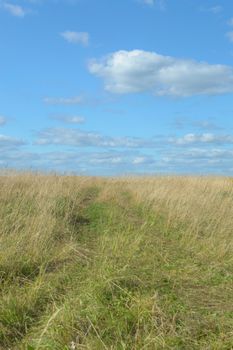Tranquil open field with wispy clouds under a bright blue sky, symbolizing peace and nature's beauty.